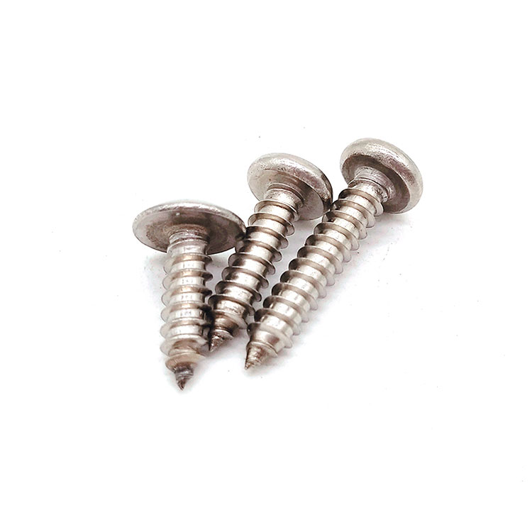 স্টেইনলেস স্টিল SUS 201/304 Torx M2 কাঠের স্ব-ট্যাপিং স্ক্রু